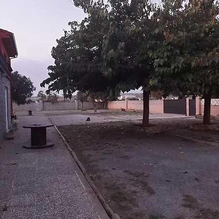 Les Oliveres - Casa- *